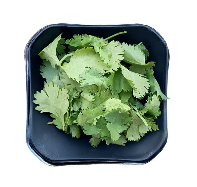 Cilantro.